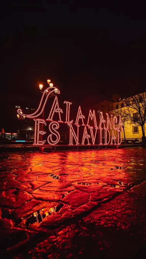 Letras luminosas - Carrozas Rurro