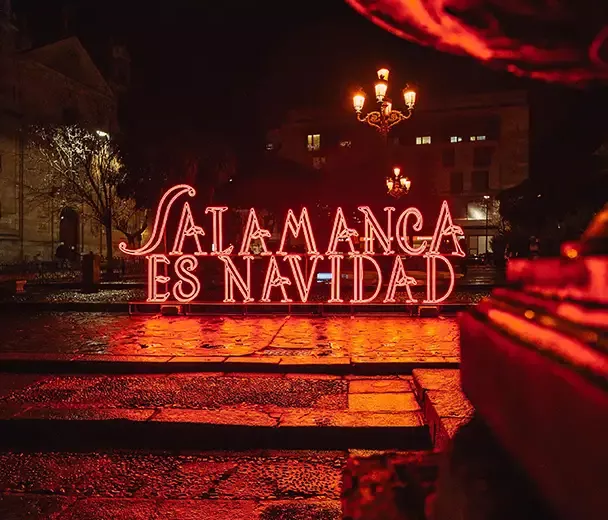 Letras luminosas - Carrozas Rurro